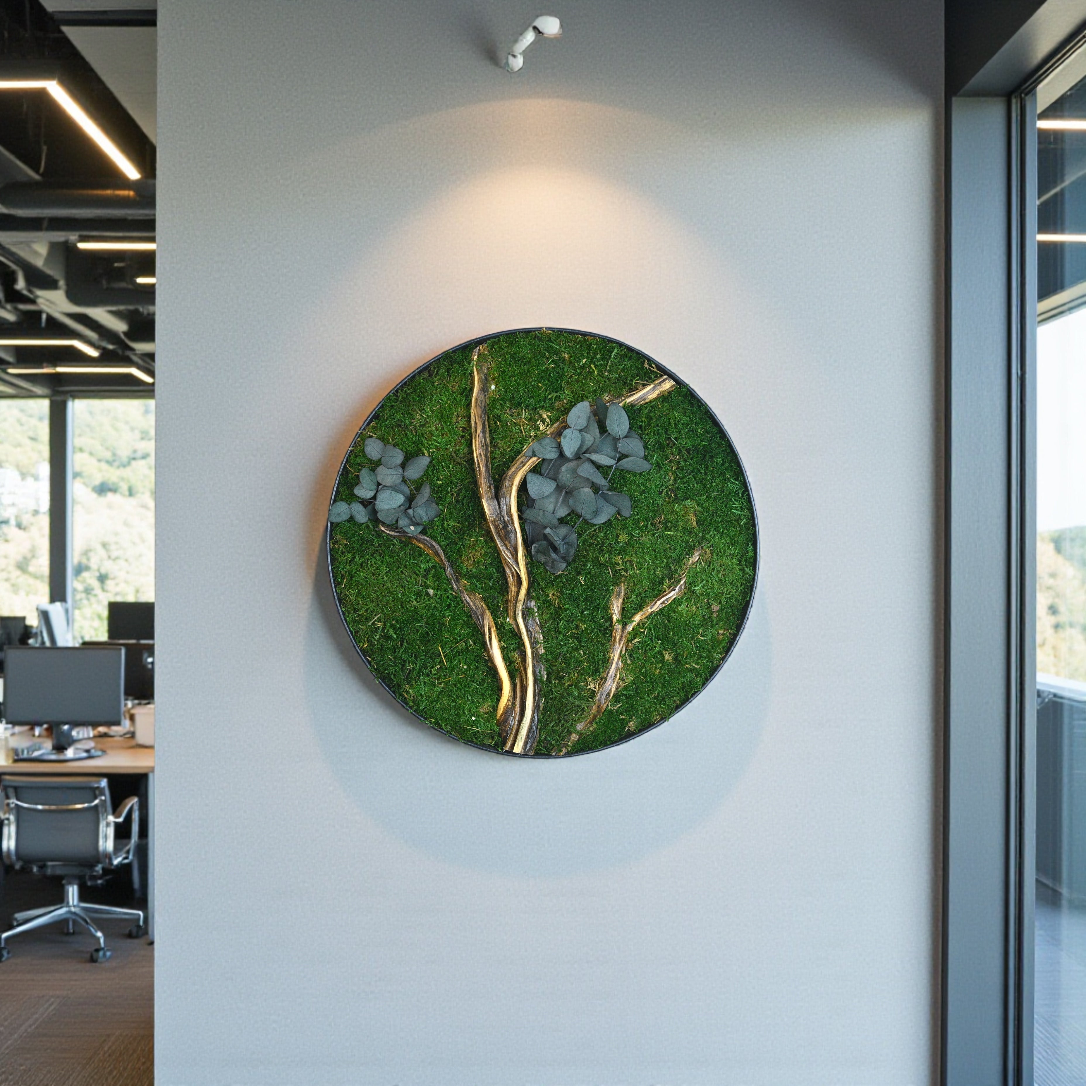 Round Moss Wall Art — Preserved Moss & Driftwood Circle Panel, Black Frame