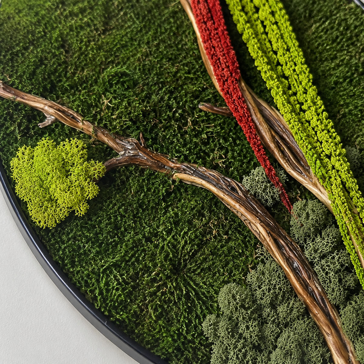 Round Moss Wall Art Preserved Moss & Driftwood Circle Panel, Black Frame