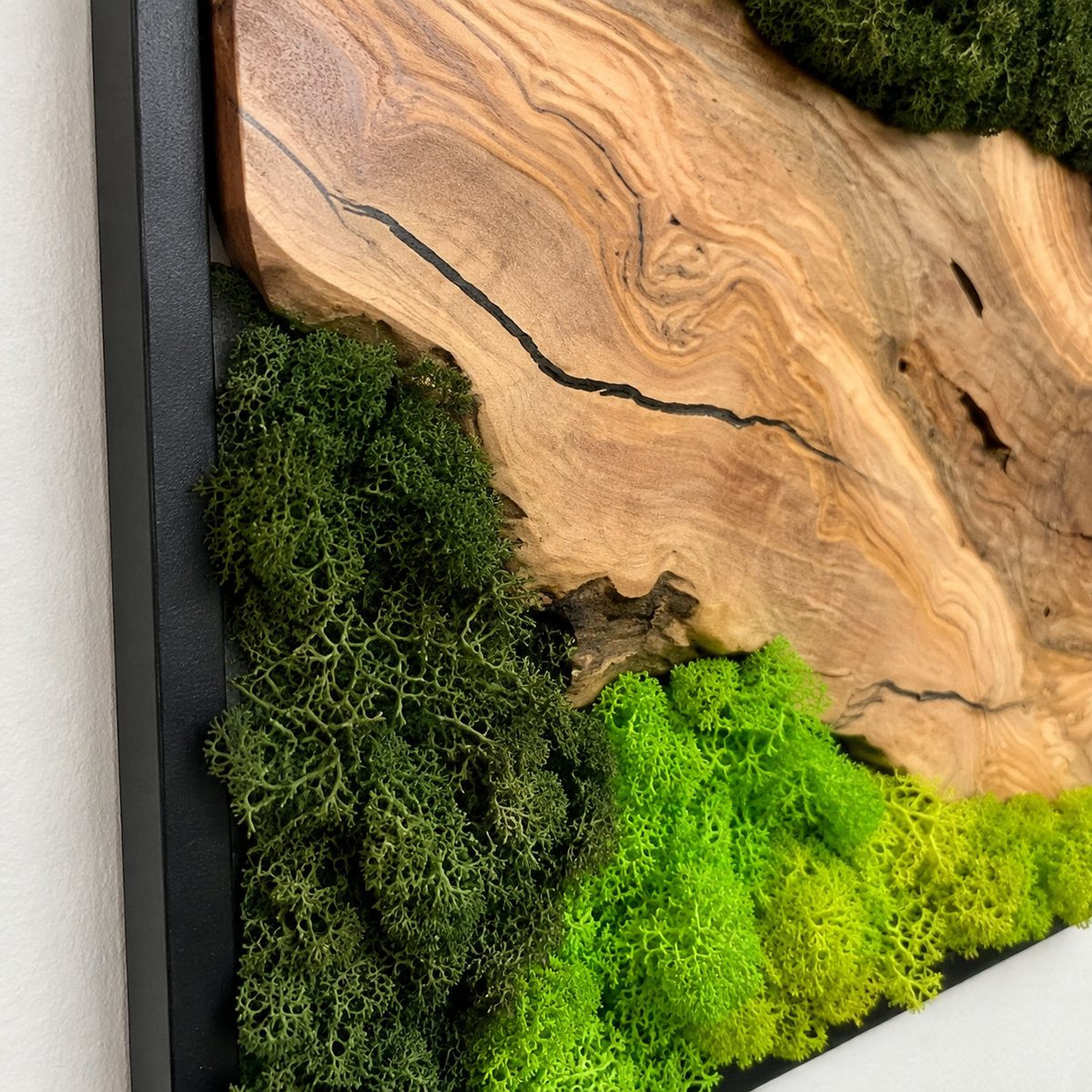 Vertical Moss Wall Art with Olive Wood Preserved Moss & Live Edge Panel in a Black Frame Biophilic Wall Decor