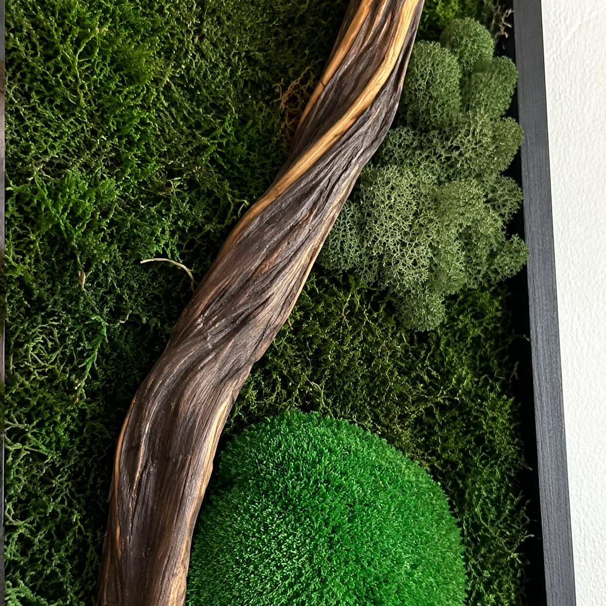 Driftwood Moss Wall Art Preserved Moss Panel with Sculptural Branch in a Black Frame Botanical Wall Decor