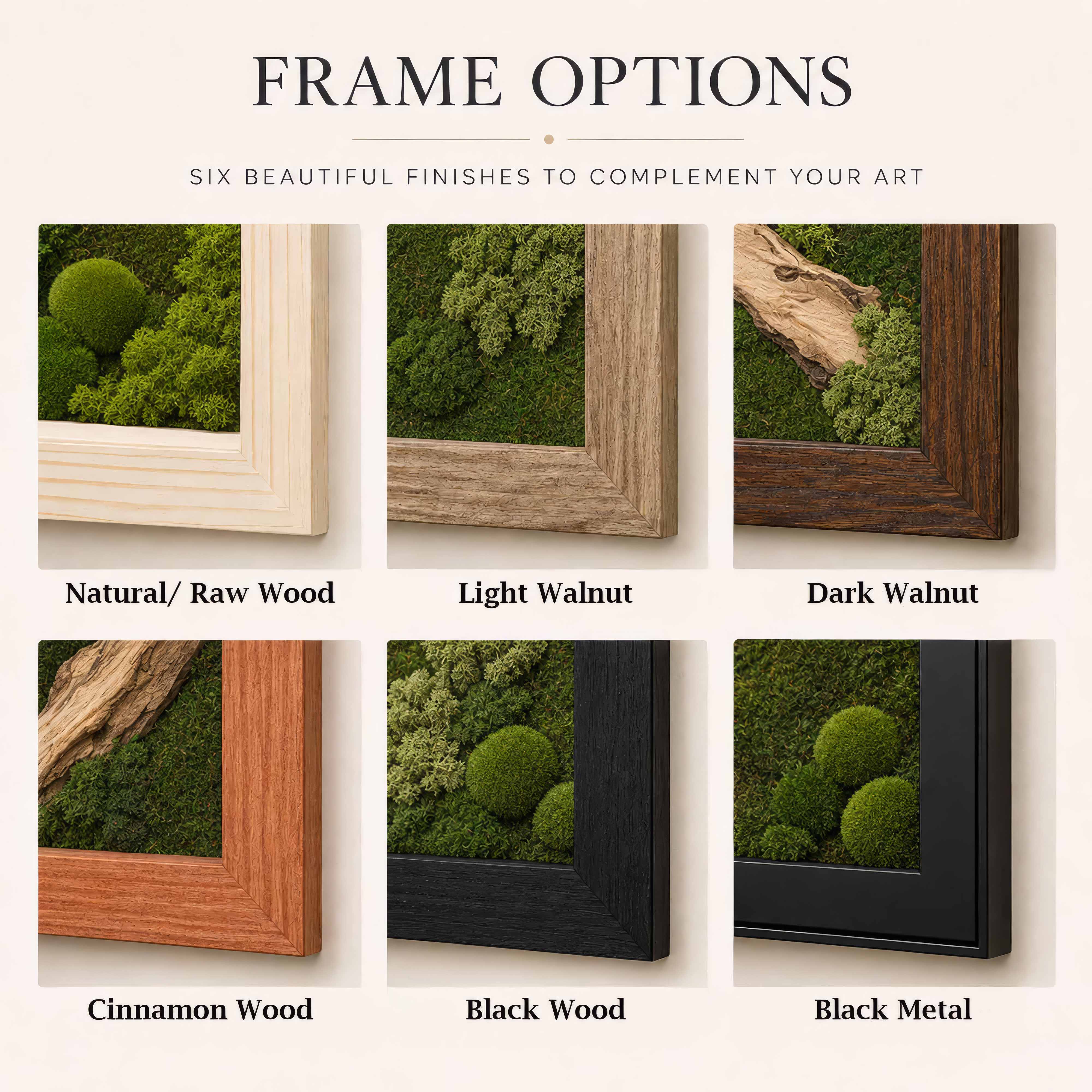 Premium Moss Wall Art – Natural Preserved Moss Wall Decor | Maintenance-Free Green Wall Art