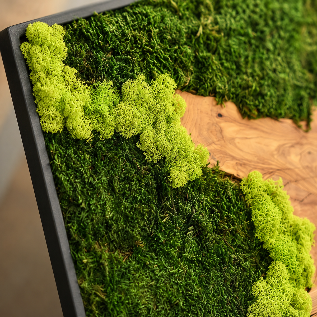 Large Moss Wall Art — Preserved Moss & Driftwood Statement Panel